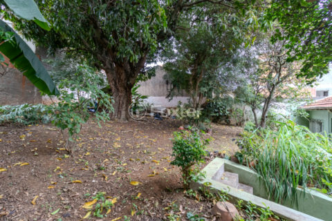 Image 34 - 1029253