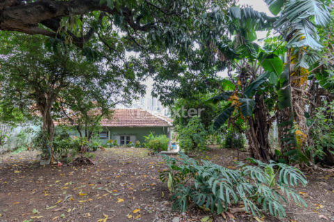 Image 35 - 1029253