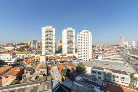 Image 31 - 1029272