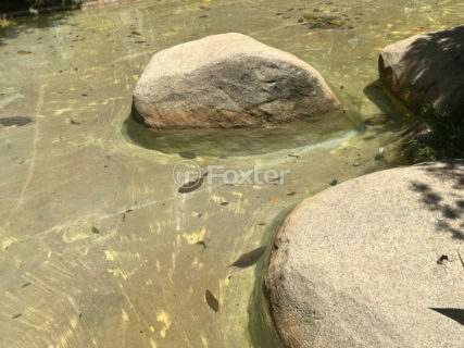 Image 41 - 1029333