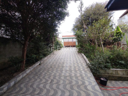 Image 4 - 1029345