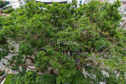 Image 55 - 1029376