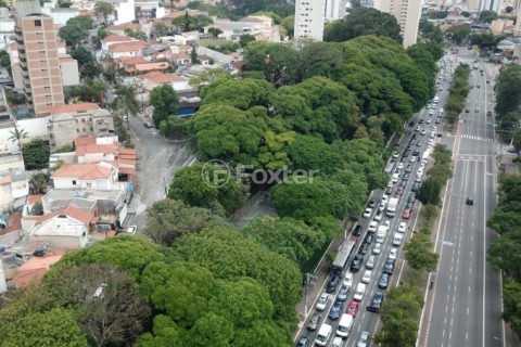 Image 25 - 1029378