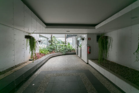 Image 39 - 1029382