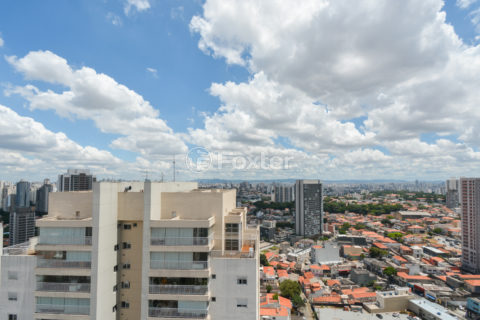 Image 32 - 1029392