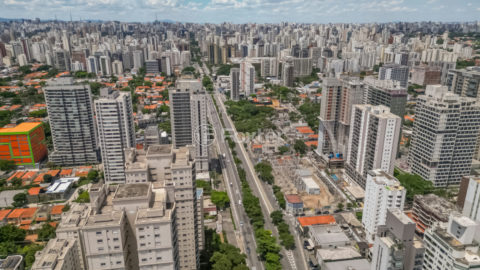 Image 25 - 1029393