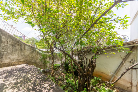 Image 38 - 1029405