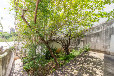 Image 36 - 1029405