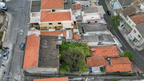 Image 7 - 1029417
