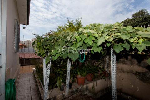 Image 7 - 1029435