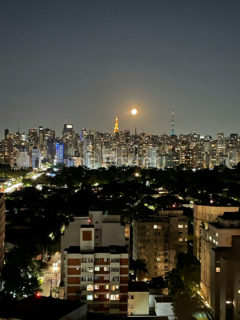 Image 31 - 1029457