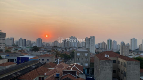 Image 31 - 1029459