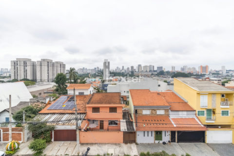 Image 33 - 1029475