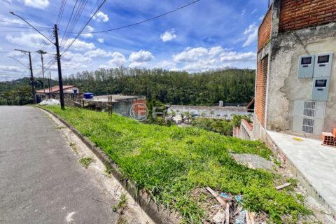 Image 2 - 1029481