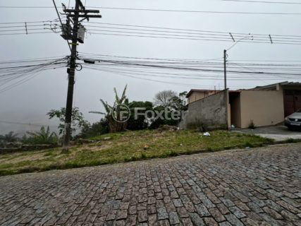 Image 4 - 1029482