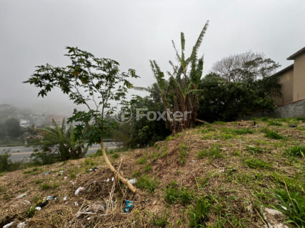 Image 3 - 1029482