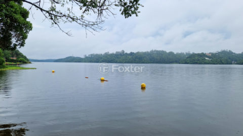 Image 45 - 1029497