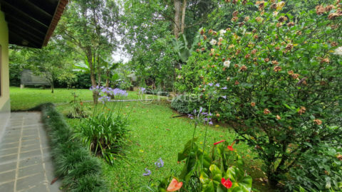 Image 8 - 1029497