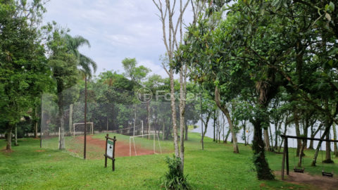 Image 37 - 1029497