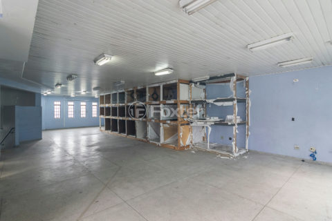 Image 41 - 1029516