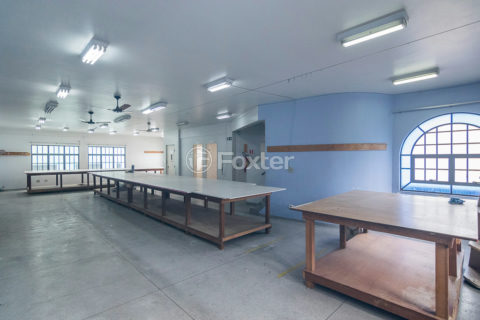 Image 35 - 1029516