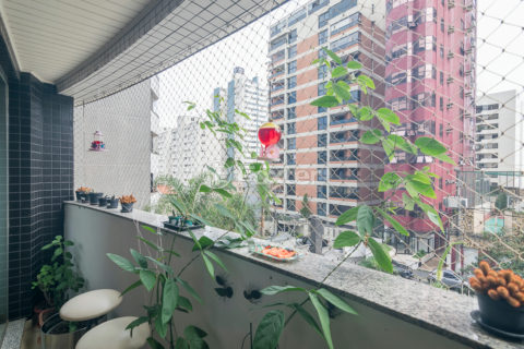 Image 6 - 1029554