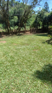 Image 11 - 1029705