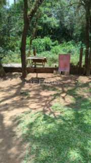 Image 4 - 1029705