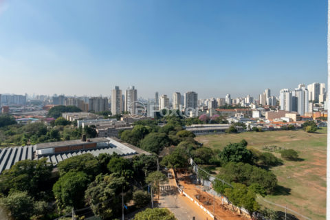 Image 20 - 1029845
