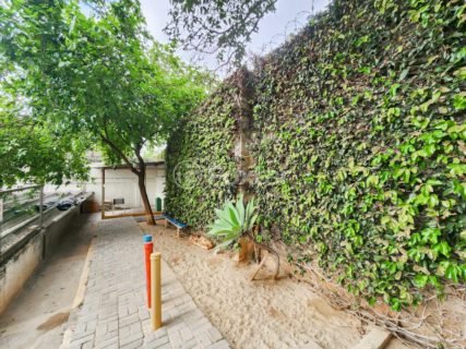 Image 27 - 1029853