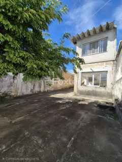 Image 33 - 1029879