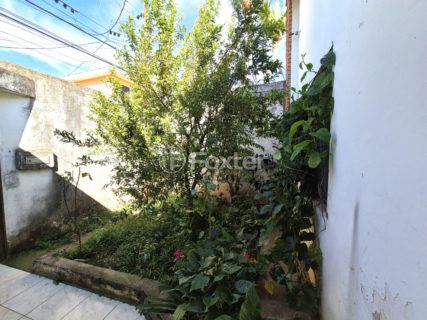 Image 35 - 1029879