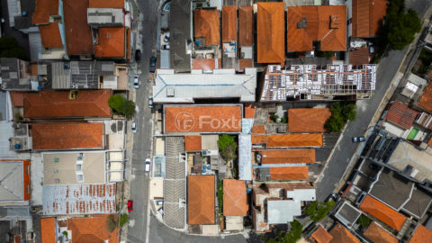 Image 43 - 1029884