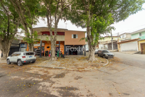 Image 35 - 1029933
