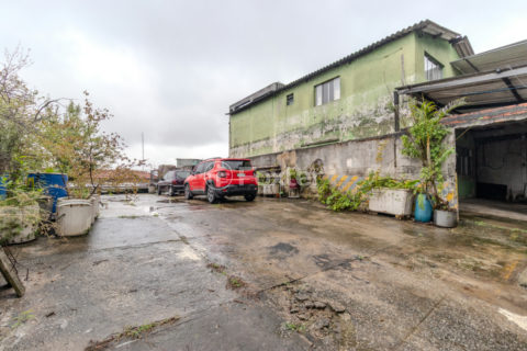 Image 36 - 1029935