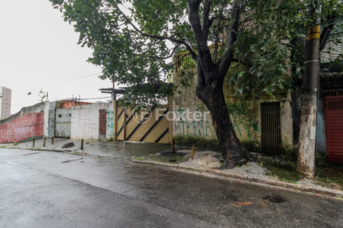 Image 42 - 1029935