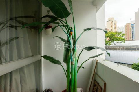 Image 2 - 1029955