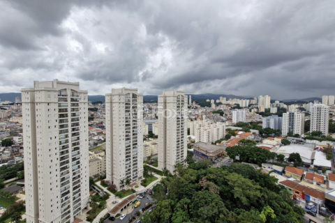 Image 34 - 1029995