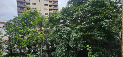 Image 15 - 1030000