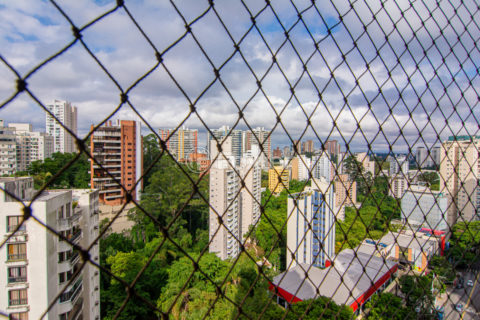 Image 7 - 1030019