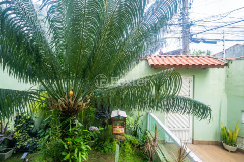 Image 14 - 1030117