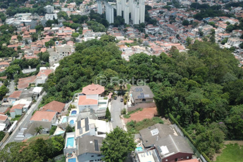 Image 13 - 1030178