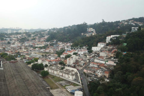 Image 41 - 1030202