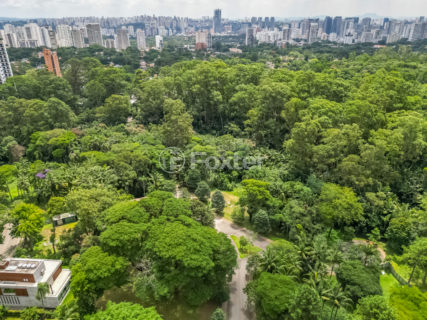 Image 25 - 1030296