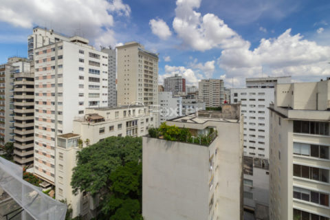 Image 13 - 1030312