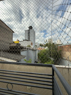 Image 11 - 1030319