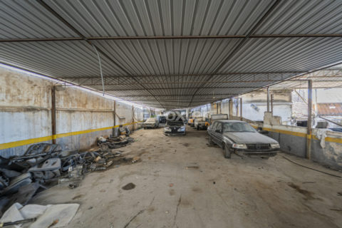 Image 7 - 1030380