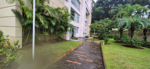 Image 31 - 1030395