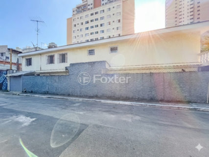 Image 31 - 1030646