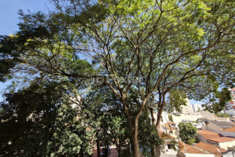 Image 28 - 1030744
